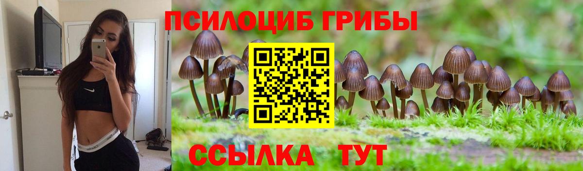 Галлюциногенные грибы ЛСД Златоуст
